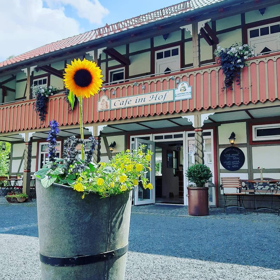 Cafe Im Hof- Bed & Breakfast Streufdorf エクステリア 写真