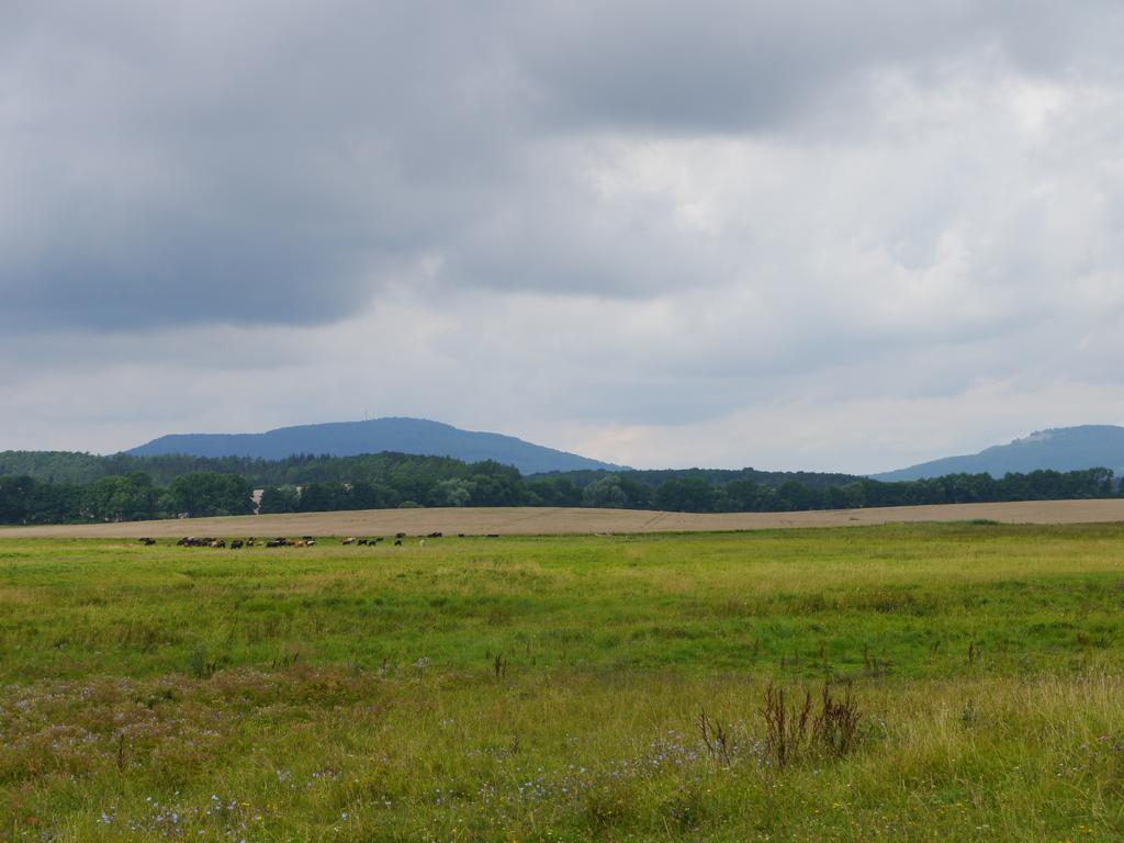 Cafe Im Hof- Bed & Breakfast Streufdorf エクステリア 写真